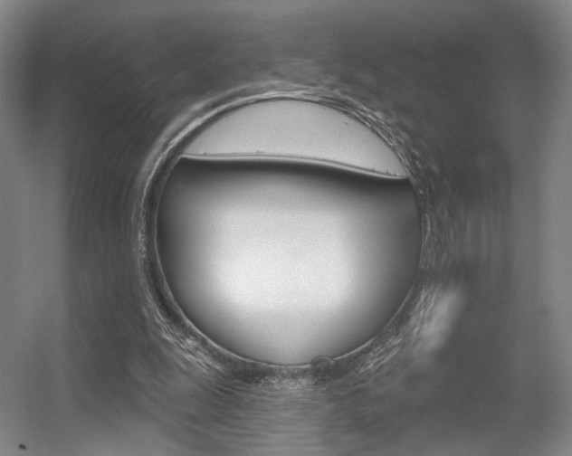 X0000056350247200508260927