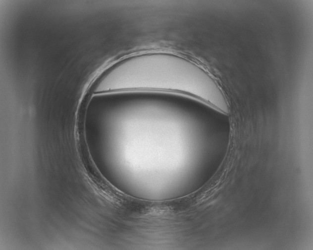X0000056350248200508260927