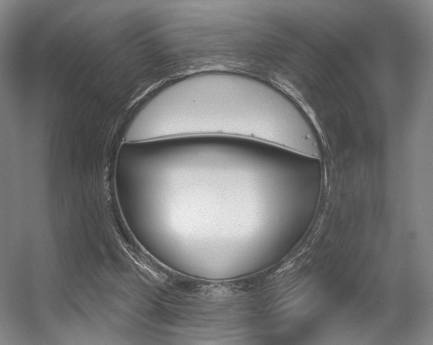 X0000056350249200508260927