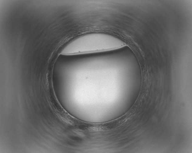 X0000056350250200508260927