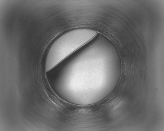 X0000056350251200508260927