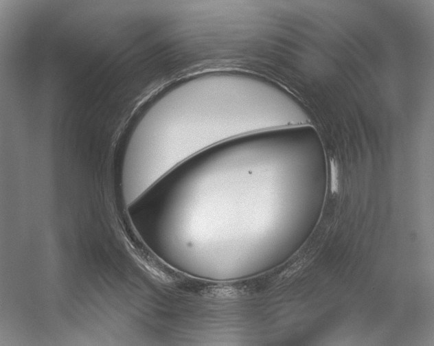 X0000056350253200508260927