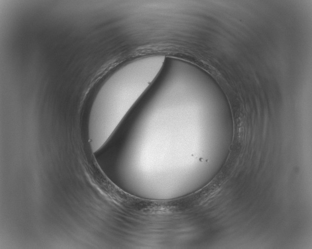 X0000056350254200508260927