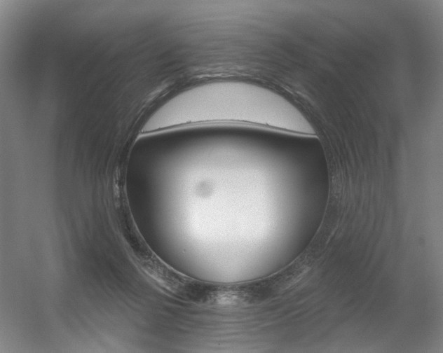 X0000056350264200508260927