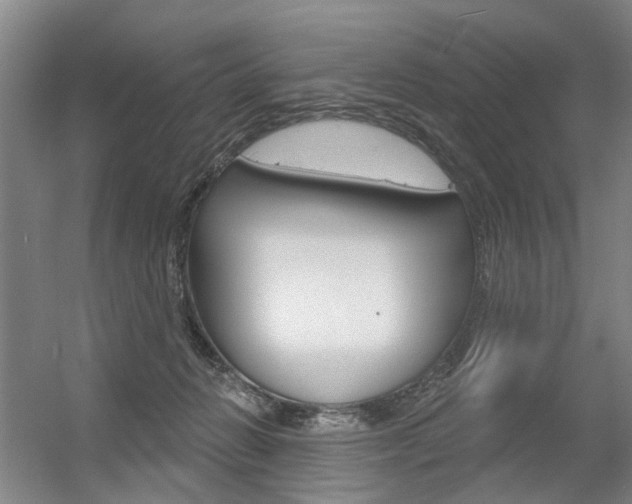 X0000056350270200508260928