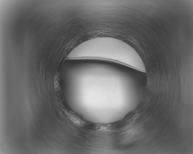 X0000056350285200508260928