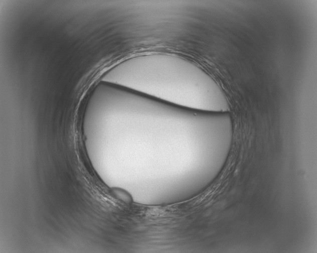 X0000056350290200508260927