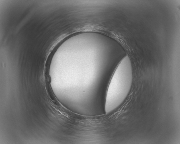 X0000056350292200508260927