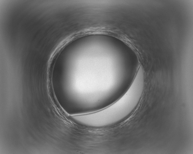 X0000056350293200508260927
