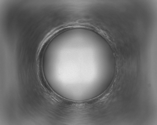 X0000056350295200508260927