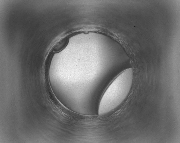 X0000056350296200508260927