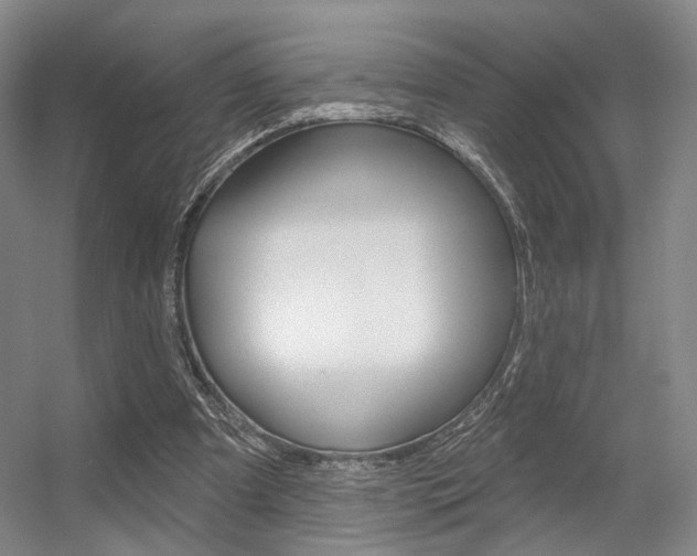 X0000056350297200508260927