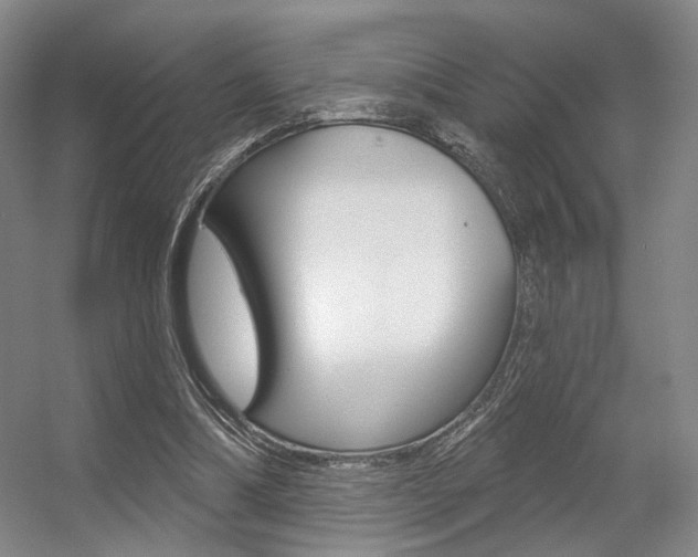 X0000056350298200508260927