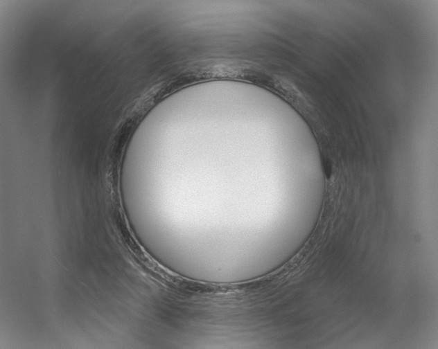 X0000056350306200508260927