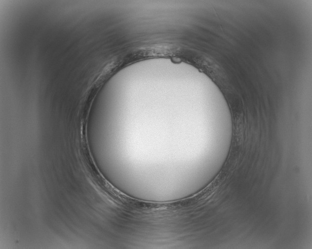 X0000056350310200508260927