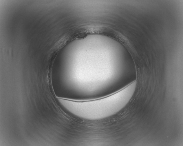 X0000056350313200508260927