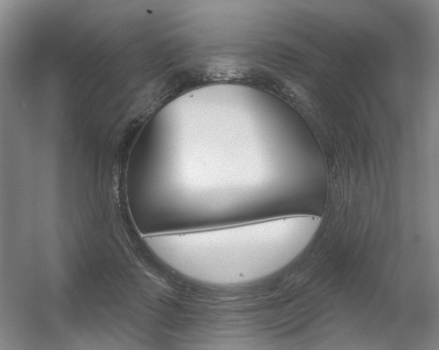 X0000056350315200508260927