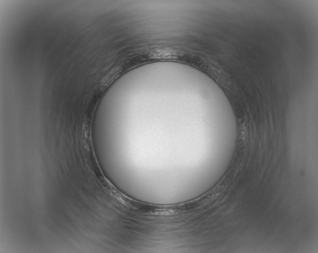 X0000056350322200508260926