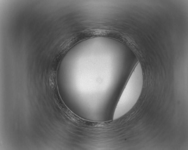 X0000056350325200508260926