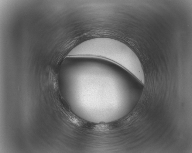 X0000056350335200508260926