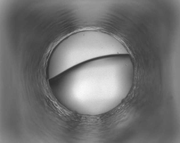 X0000056350337200508260925