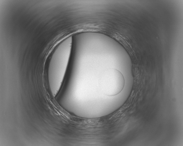 X0000056350338200508260925