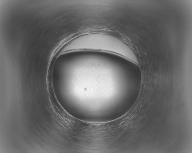 X0000056350340200508260925