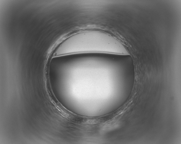 X0000056350341200508260925