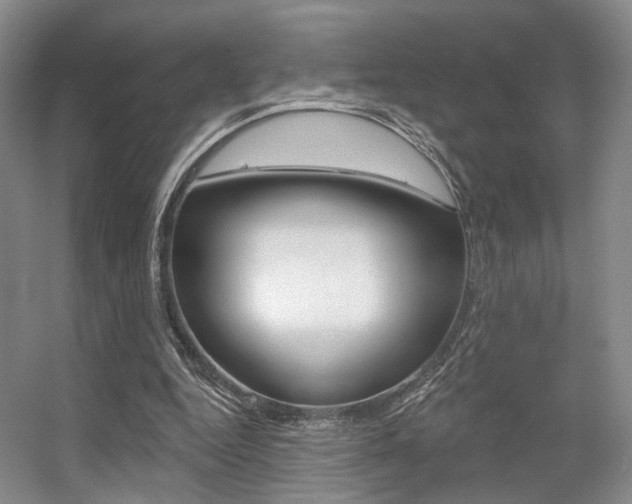X0000056350344200508260926