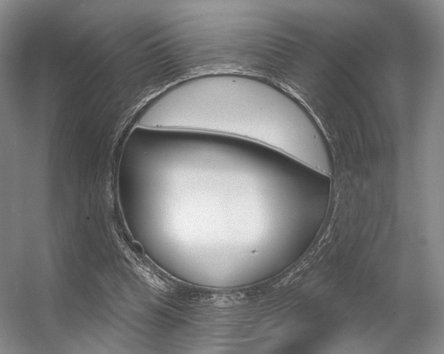 X0000056350345200508260926
