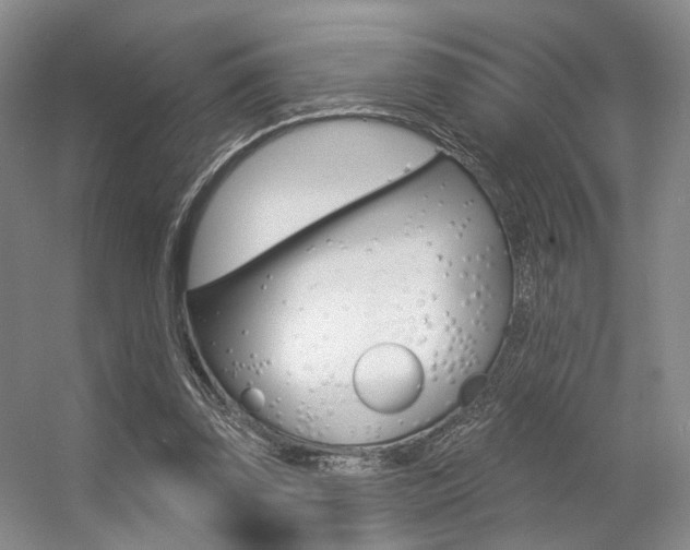 X0000056350347200508260926