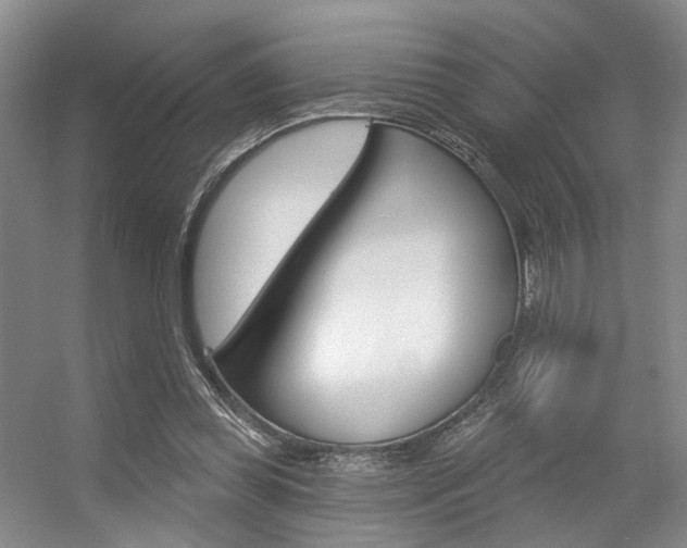 X0000056350349200508260926