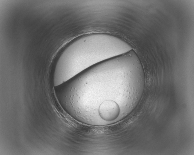 X0000056350351200508260926