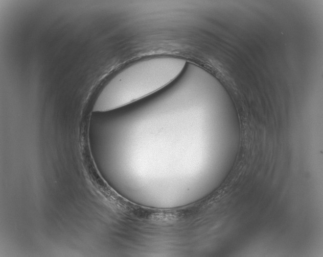 X0000056350354200508260926