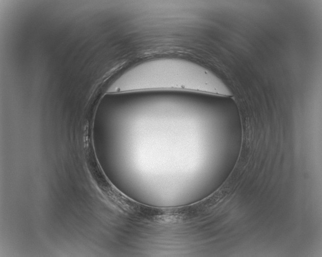 X0000056350356200508260926