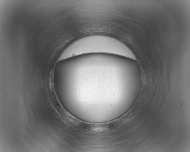 X0000056350360200508260926