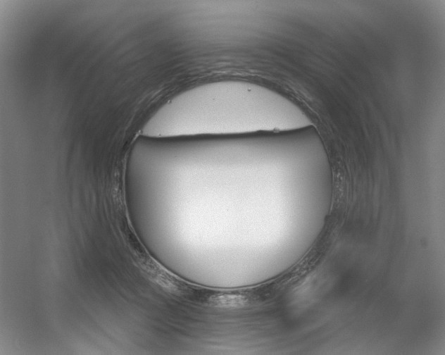 X0000056350361200508260926