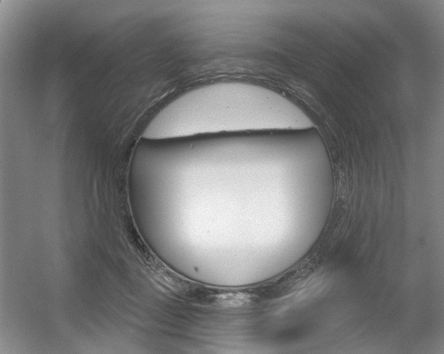 X0000056350363200508260926