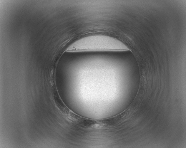 X0000056350364200508260926