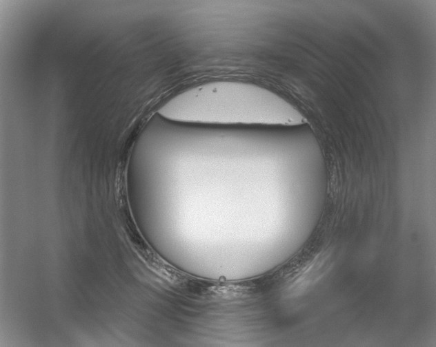 X0000056350367200508260926