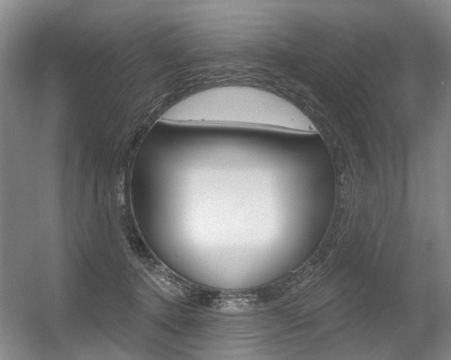 X0000056350368200508260926