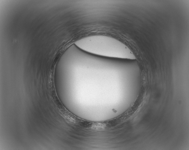 X0000056350369200508260926