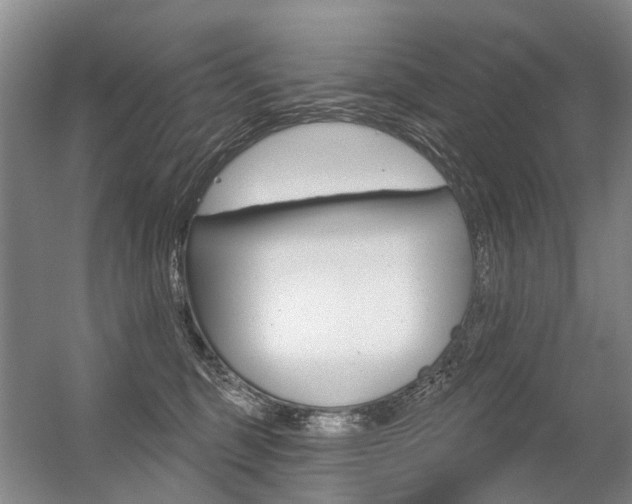 X0000056350375200508260926