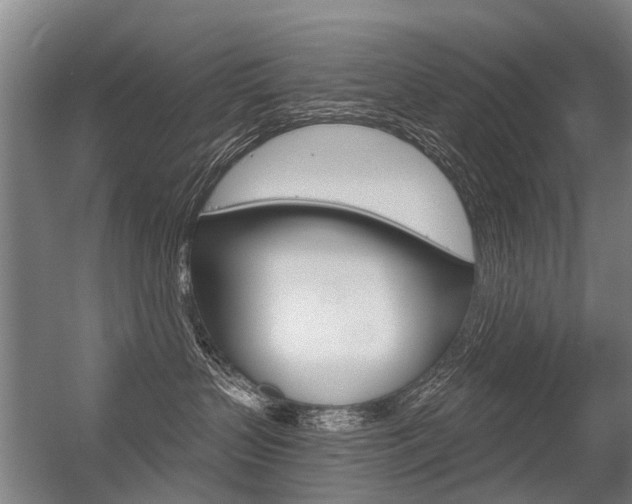 X0000056350383200508260926