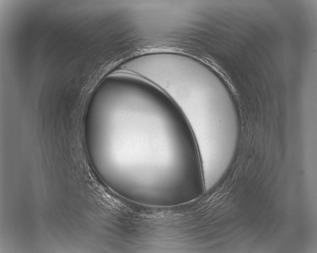 X0000056350385200508260925