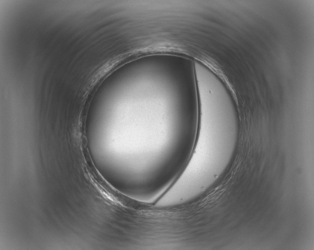 X0000056350389200508260925
