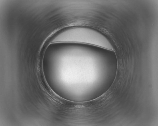 X0000056350392200508260925