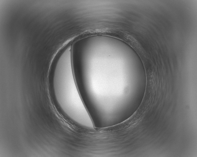X0000056350395200508260925