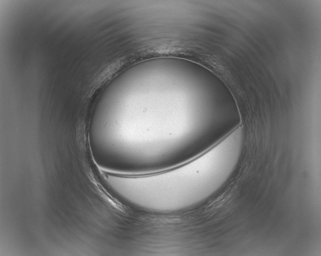 X0000056350397200508260925