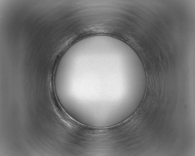 X0000056350398200508260925
